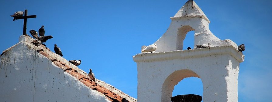 Plagas de aves en iglesias